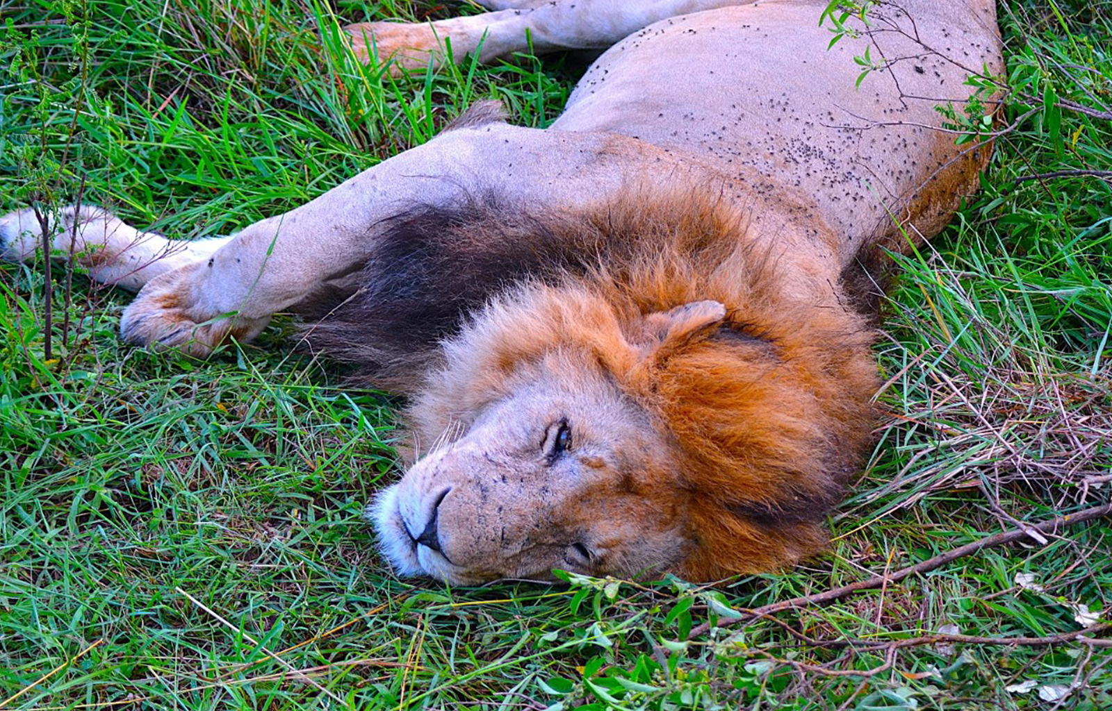 kenya-pic-17