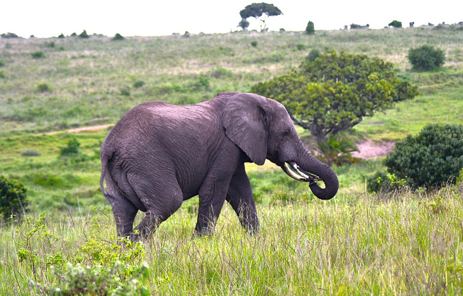 kenya-pic-20
