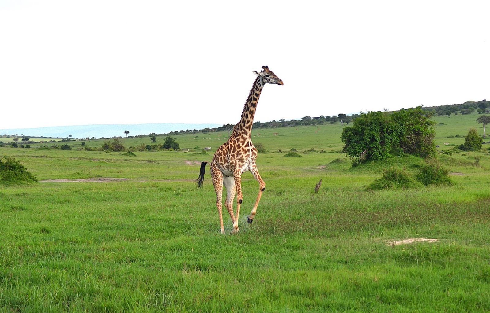 kenya-pic-21