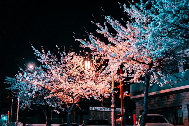 daniel-bernard-XU2WQJKtxw0-unsplash